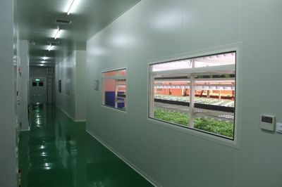 只要这样做,在钢筋混凝土的城市里也能再现“田园风光”!