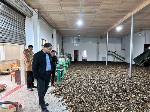 广西农科院 农产品加工研究所