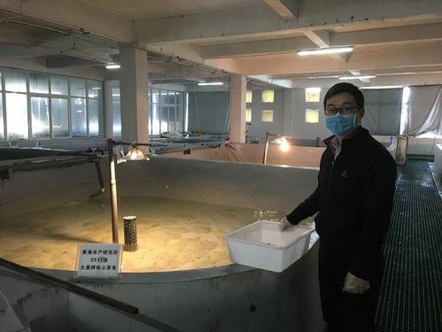 助力复产复工 书写科技担当 4 黄海水产研究所心系养殖产业,多措并举支撑水产种业发展