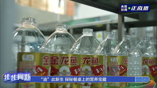金龙鱼 1 1 1再掀粮油热潮 0 的突破正在被世界需要