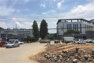多部委赴武汉核查百白破疫苗处置工作