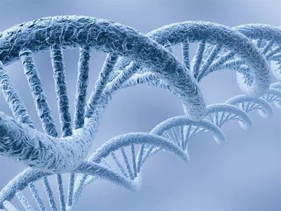 头条|安利植物研发中心联合中国中医科学院中药研究所宣布, 我国率先完成菊花全基因组测序工作_科技_网