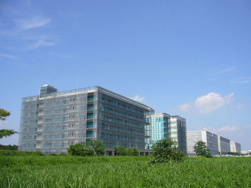 东京大学宇宙射线研究所
