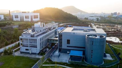 “漩涡”中的武汉病毒研究所