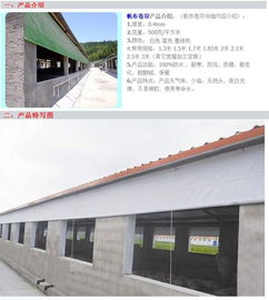 猪场卷帘布定制设计与应用效果研究